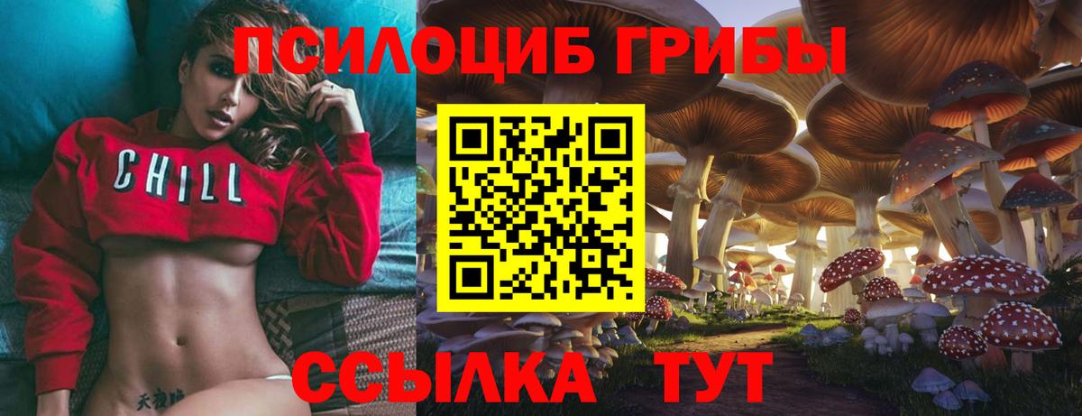 Галлюциногенные грибы мухоморы Кизилюрт
