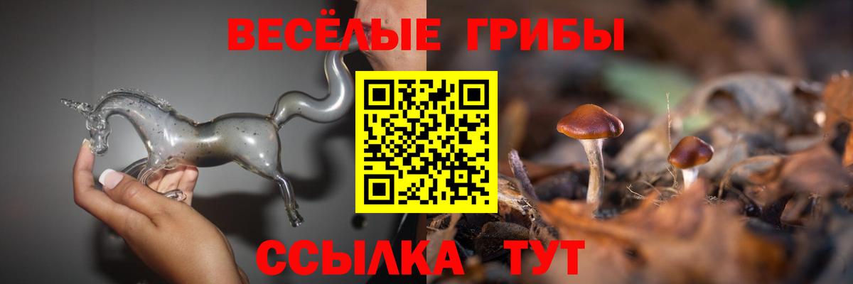 как найти закладки  Псилоцибиновые грибы Magic Shrooms  Кизилюрт  Вход с VPN  Галлюциногенные грибы ЛСД 